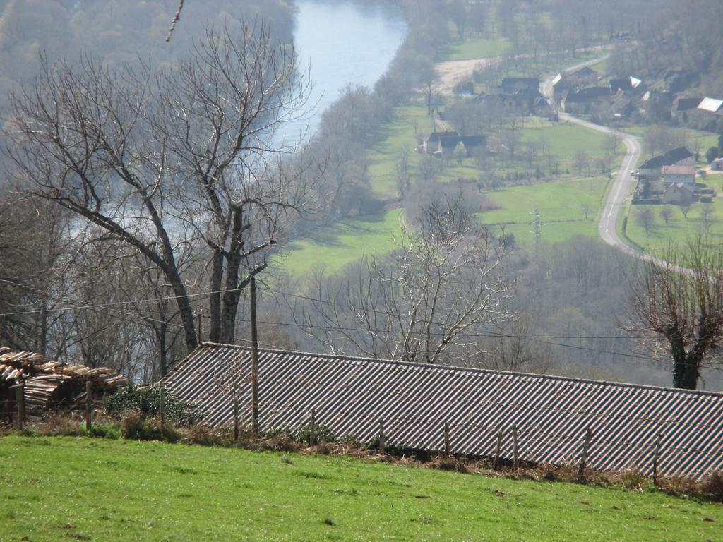 Le Petit Chat Beaulieu-sur-Dordogne Exterior foto